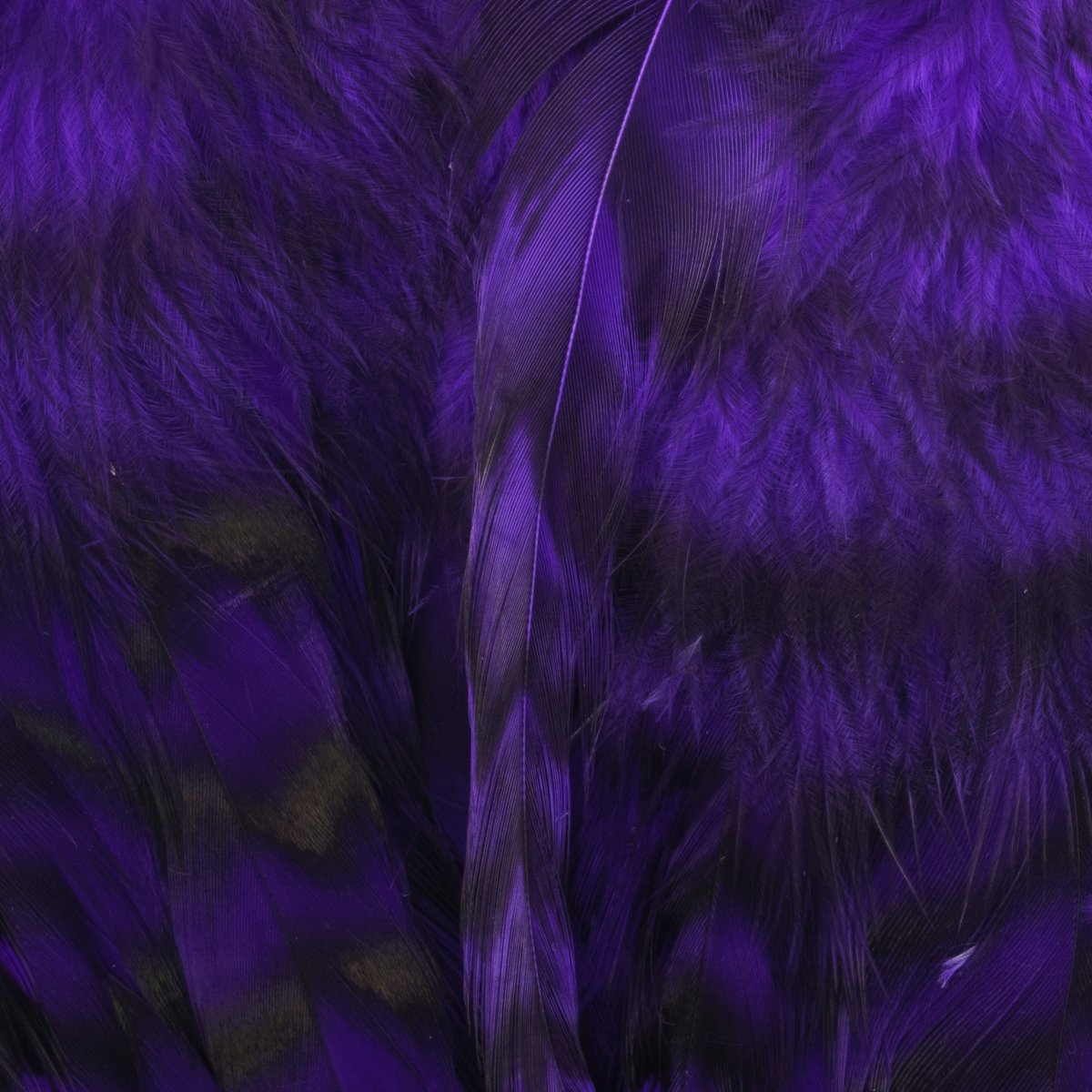 Hareline Dubbin - Hareline Strung 4"-6" Grizzly Variant Saddle Hackle - Feather Craft Fly Fishing
