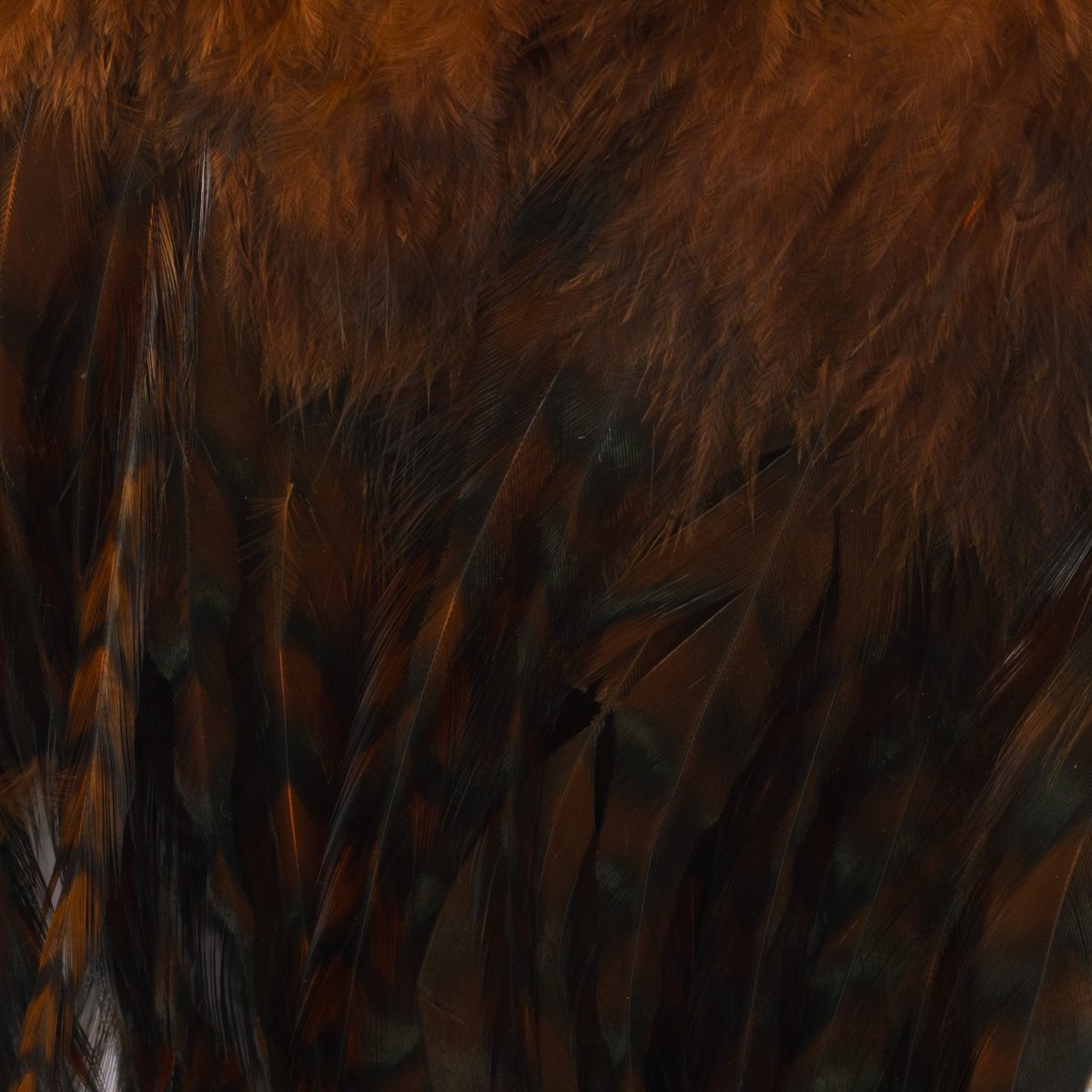 Hareline Dubbin - Hareline Strung 4"-6" Grizzly Variant Saddle Hackle - Feather Craft Fly Fishing