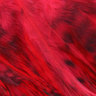 Hareline Dubbin - Hareline Strung 4"-6" Grizzly Variant Saddle Hackle - Feather Craft Fly Fishing