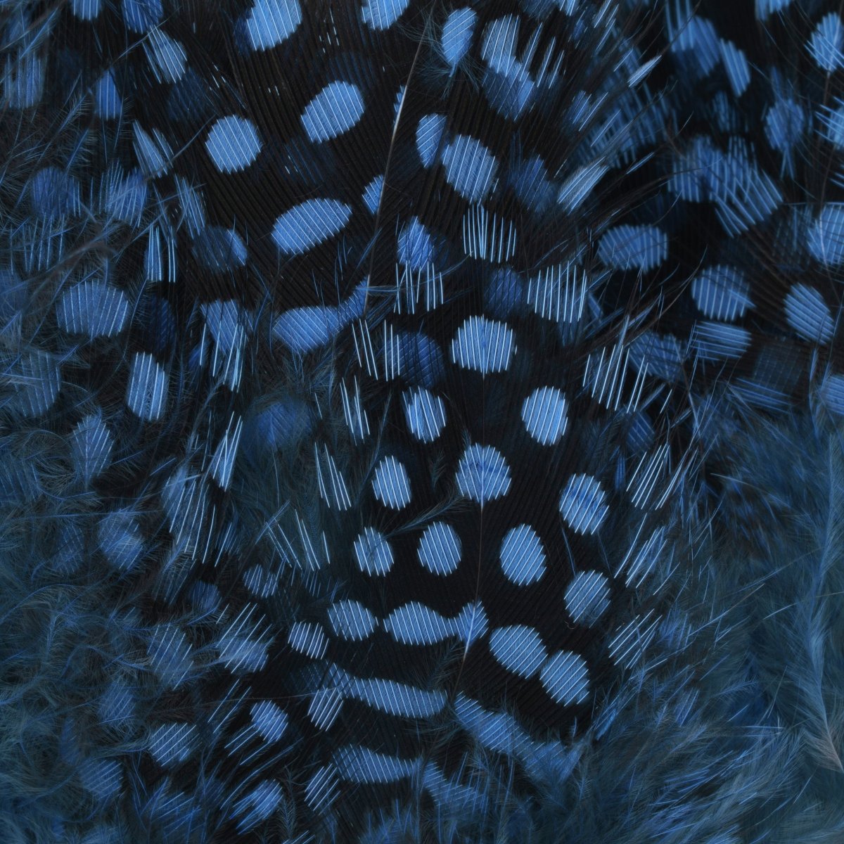 Hareline Dubbin - Hareline Strung Guinea Body Feathers - Feather Craft Fly Fishing