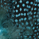 Hareline Dubbin - Hareline Strung Guinea Body Feathers - Feather Craft Fly Fishing
