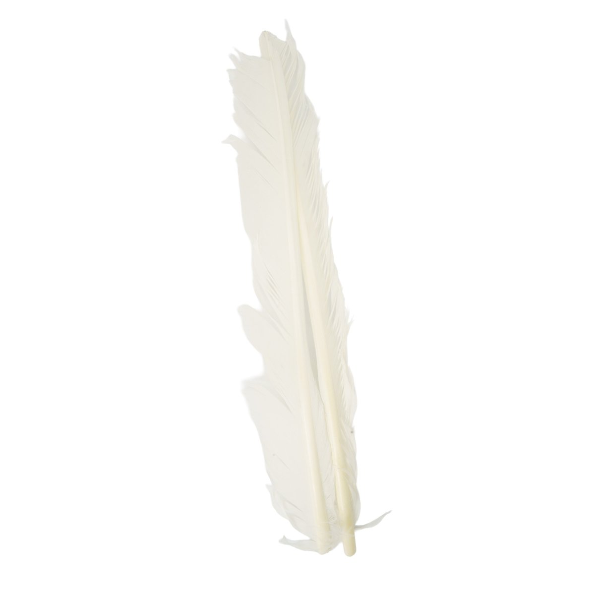 Hareline Dubbin - Hareline Turkey Biots - Feather Craft Fly Fishing