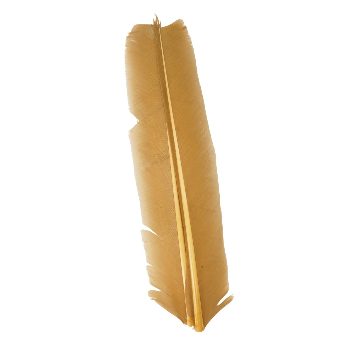 Hareline Dubbin - Hareline Turkey Biots - Feather Craft Fly Fishing