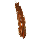 Hareline Dubbin - Hareline Turkey Biots - Feather Craft Fly Fishing
