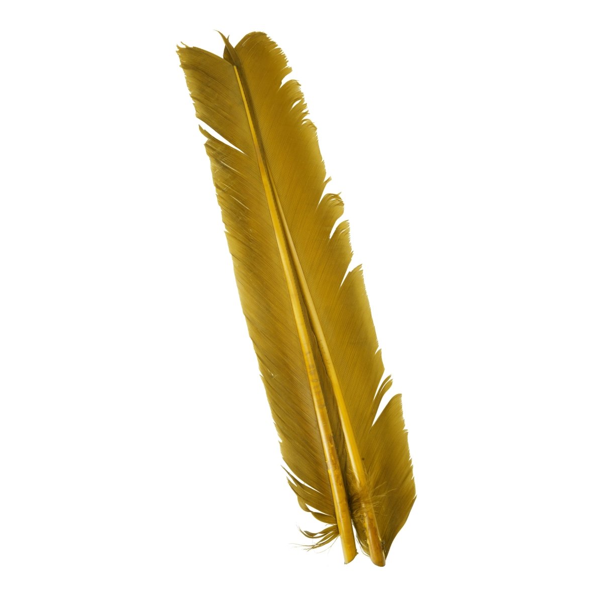 Hareline Dubbin - Hareline Turkey Biots - Feather Craft Fly Fishing