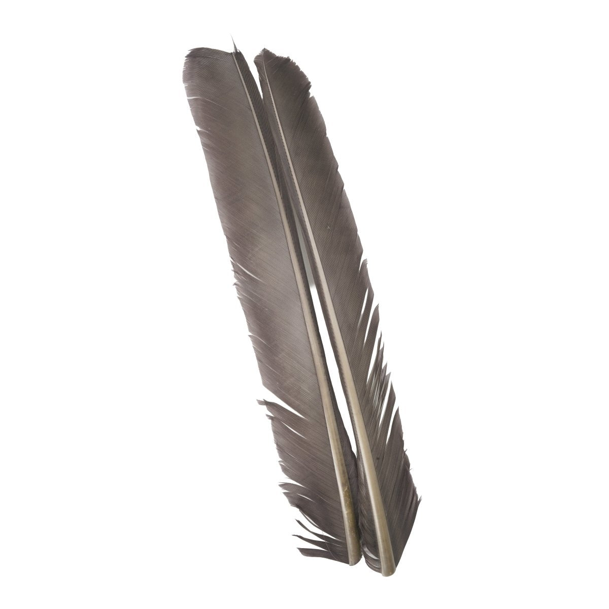 Hareline Dubbin - Hareline Turkey Biots - Feather Craft Fly Fishing