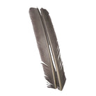 Hareline Dubbin - Hareline Turkey Biots - Feather Craft Fly Fishing