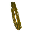 Hareline Dubbin - Hareline Turkey Biots - Feather Craft Fly Fishing