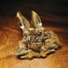 Hareline Dubbin - Jumbo 1 Hares Mask With Ears - Feather Craft Fly Fishing