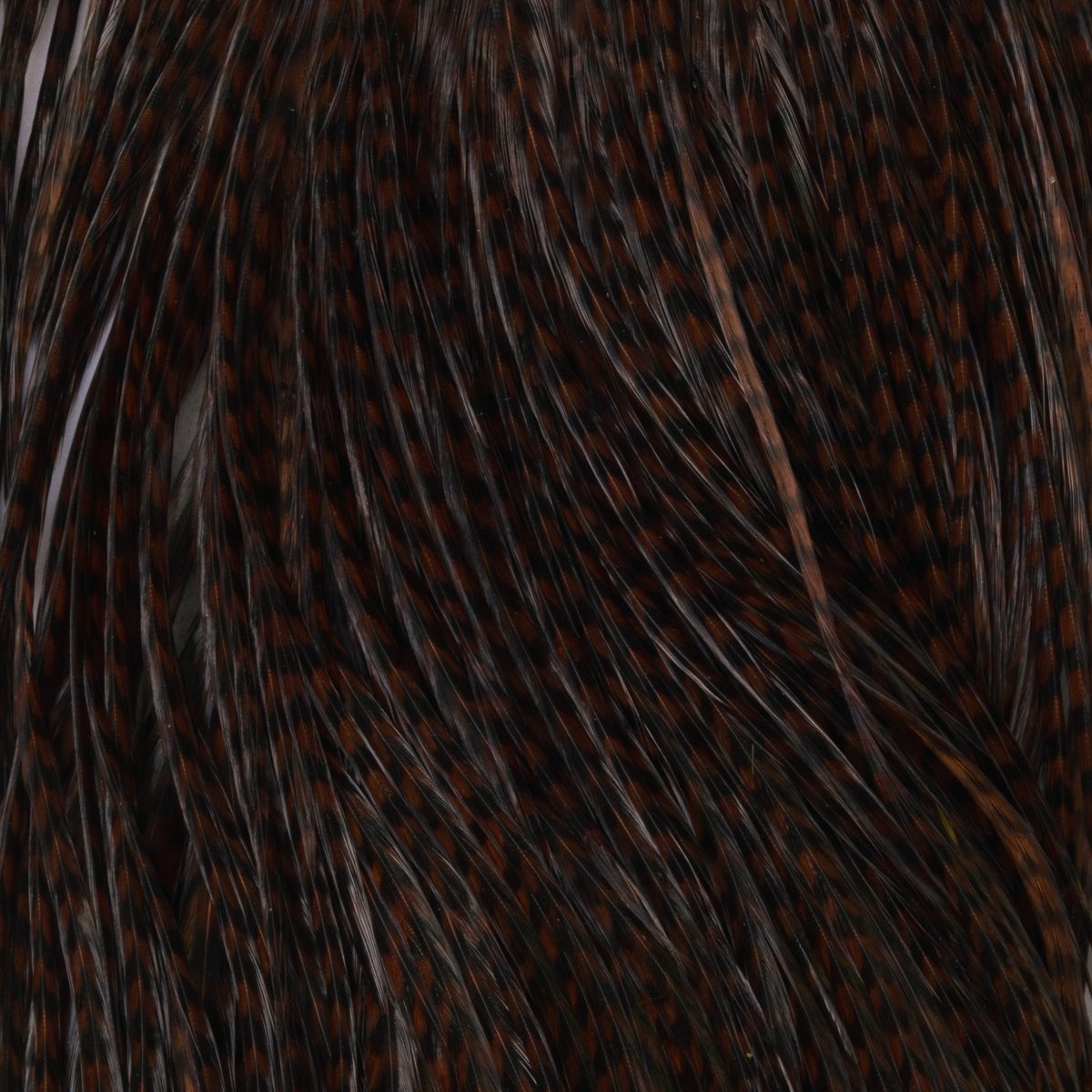 Hareline Dubbin - Keough Grade 1 Grizzly Half Saddle - Feather Craft Fly Fishing