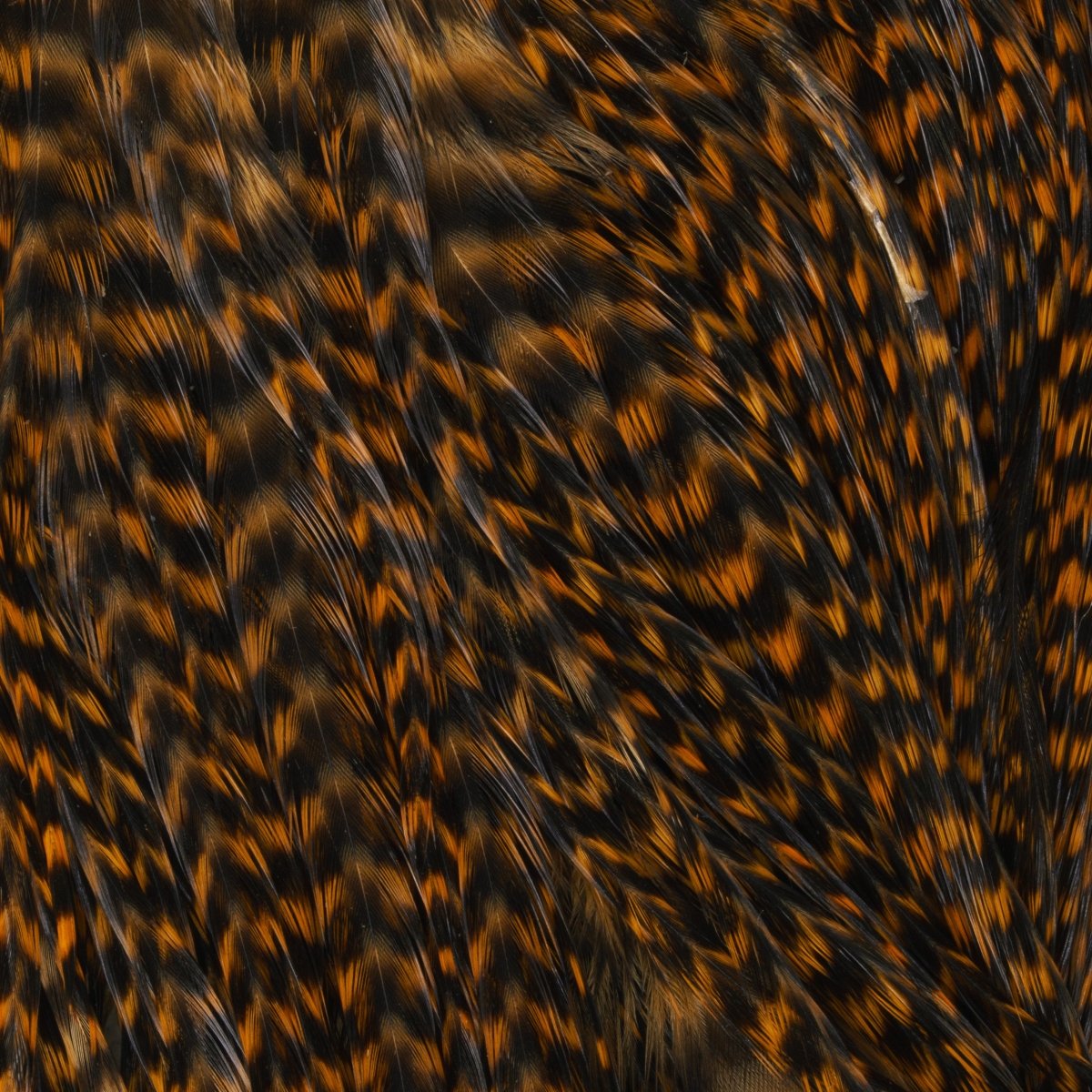 Hareline Dubbin - Keough Grade 1 Grizzly Half Saddle - Feather Craft Fly Fishing