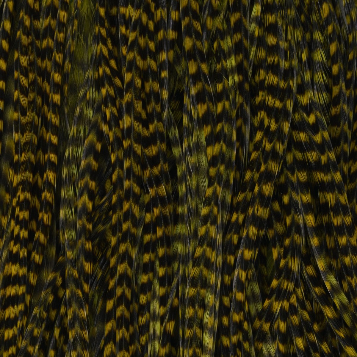 Hareline Dubbin - Keough Grade 1 Grizzly Half Saddle - Feather Craft Fly Fishing