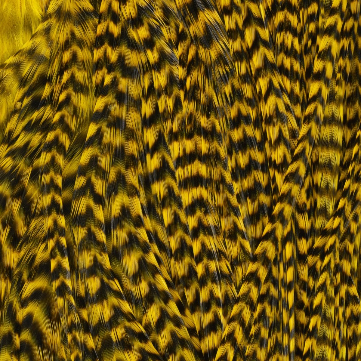 Hareline Dubbin - Keough Grade 1 Grizzly Half Saddle - Feather Craft Fly Fishing