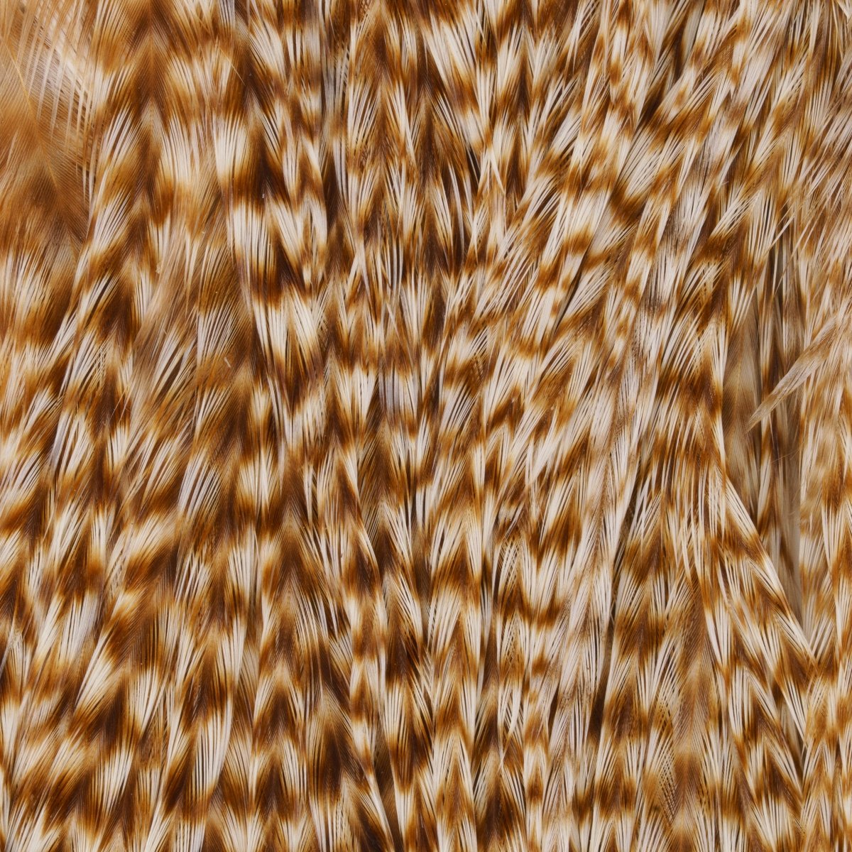 Hareline Dubbin - Keough Grade 2 Grizzly Half Saddle - Feather Craft Fly Fishing