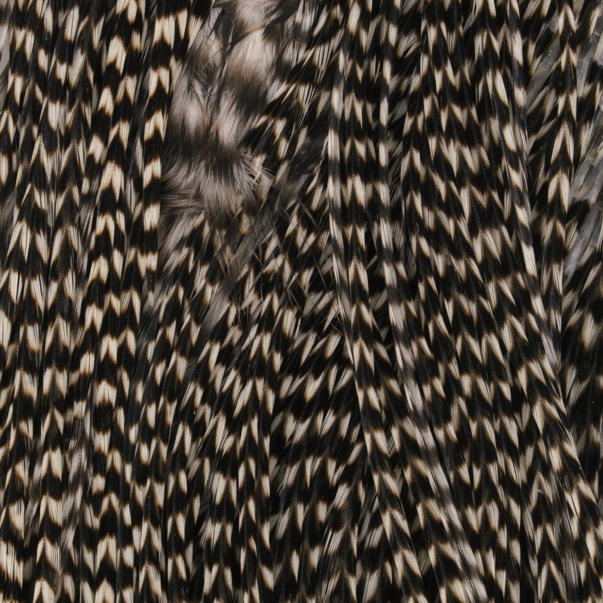 Hareline Dubbin - Keough Grade 2 Grizzly Half Saddle - Feather Craft Fly Fishing
