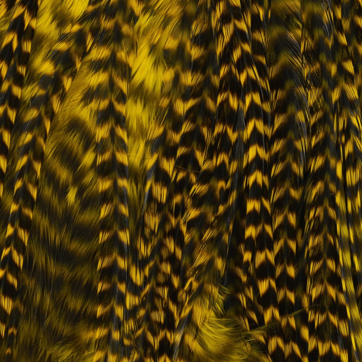 Hareline Dubbin - Keough Grade 2 Grizzly Half Saddle - Feather Craft Fly Fishing