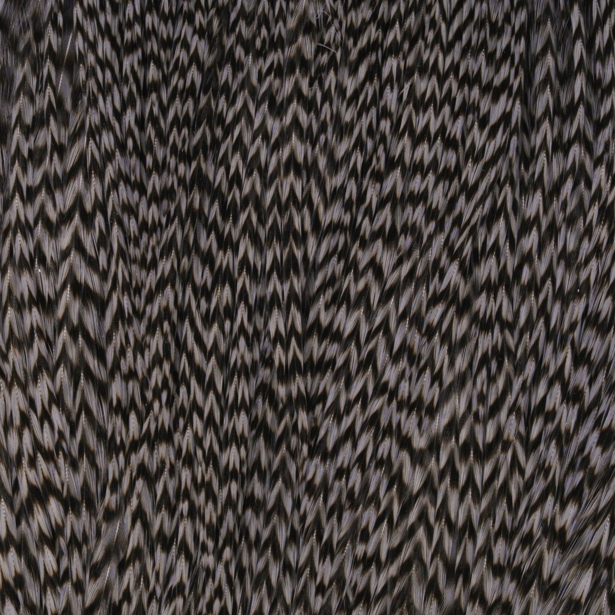 Hareline Dubbin - Keough Tyers Grade Cape - Feather Craft Fly Fishing