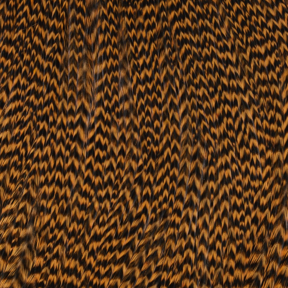 Hareline Dubbin - Keough Tyers Grade Cape - Feather Craft Fly Fishing