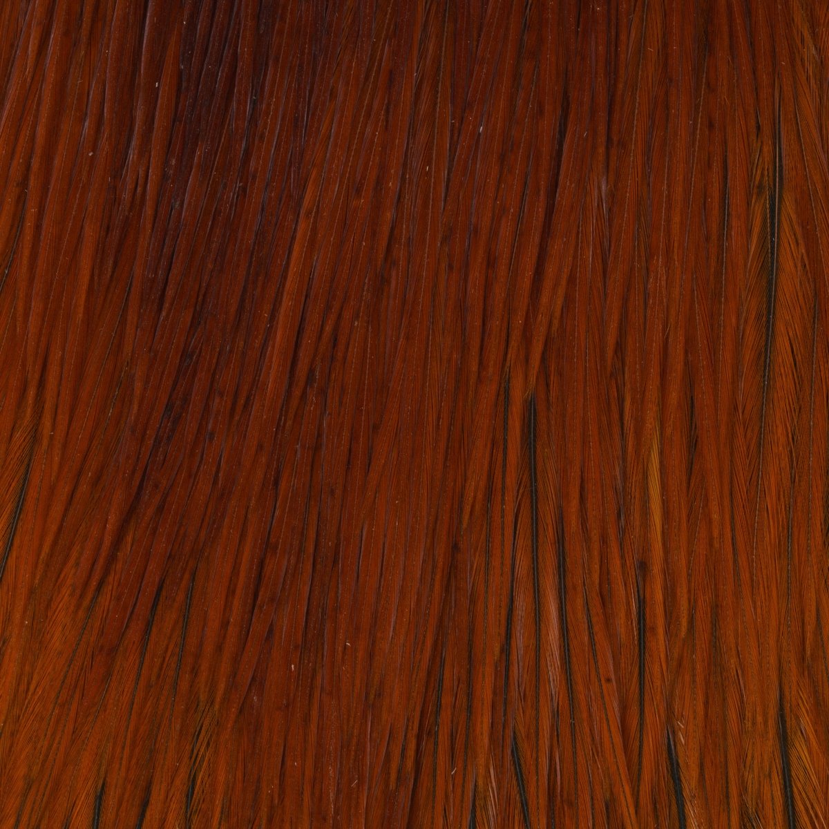 Hareline Dubbin - Keough Tyers Grade Cape - Feather Craft Fly Fishing