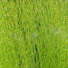 Hareline Dubbin - Krystal Flash - Feather Craft Fly Fishing