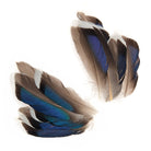 Hareline Dubbin - Mallard Mcginty Quills - Feather Craft Fly Fishing