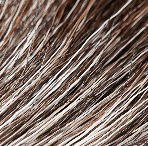 Hareline Dubbin - Moose Mane - Feather Craft Fly Fishing