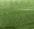 Hareline Dubbin - Super/Supreme Hair - Feather Craft Fly Fishing