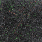 MFC - MFC Arizona Simi - Seal Dubbing - Feather Craft Fly Fishing