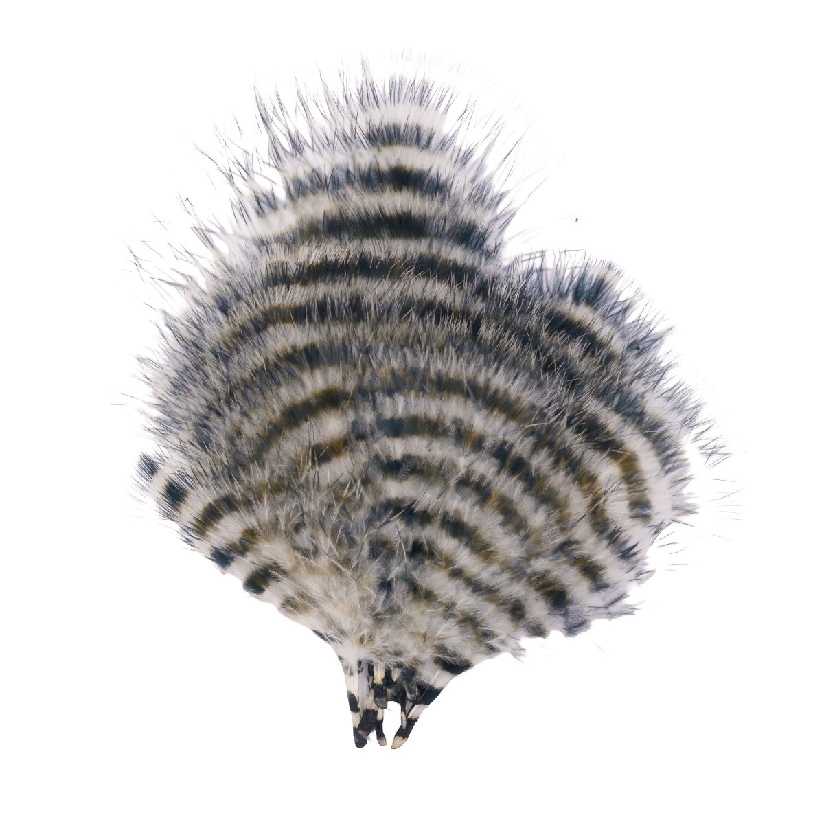 MFC - MFC Barred Marabou - Feather Craft Fly Fishing