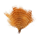 MFC - MFC Barred Marabou - Feather Craft Fly Fishing