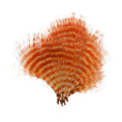 MFC - MFC Barred Marabou - Feather Craft Fly Fishing