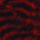 MFC - MFC Barred Schlappen - Feather Craft Fly Fishing