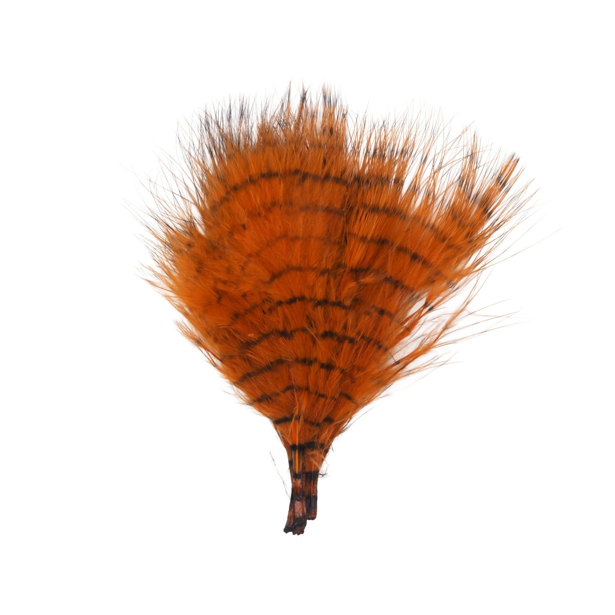 MFC - MFC Fine Barred Marabou - Feather Craft Fly Fishing