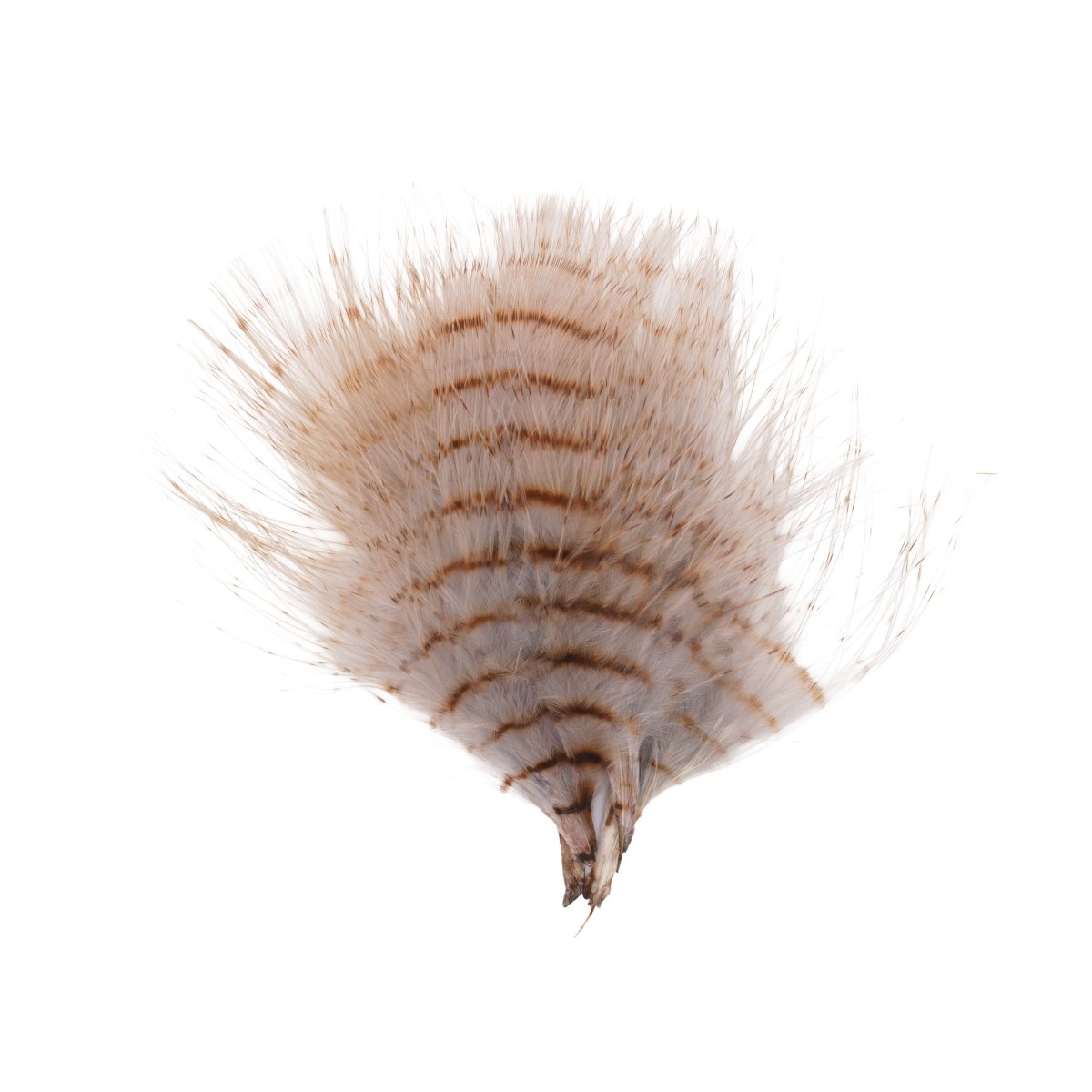 MFC - MFC Fine Barred Marabou - Feather Craft Fly Fishing
