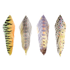 MFC - MFC Fish Feathers - Feather Craft Fly Fishing