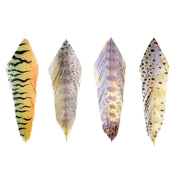 MFC - MFC Fish Feathers - Feather Craft Fly Fishing
