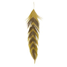 MFC - MFC Galloup's Fish Feathers - Arrowhead - Feather Craft Fly Fishing