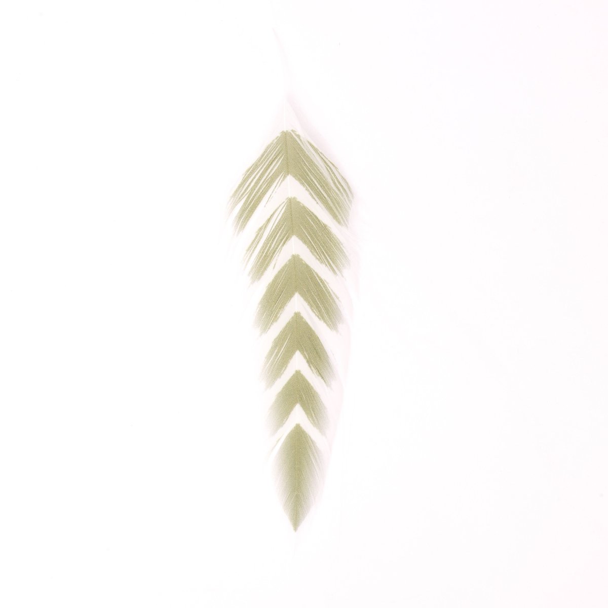 MFC - MFC Galloup's Fish Feathers - Arrowhead - Feather Craft Fly Fishing