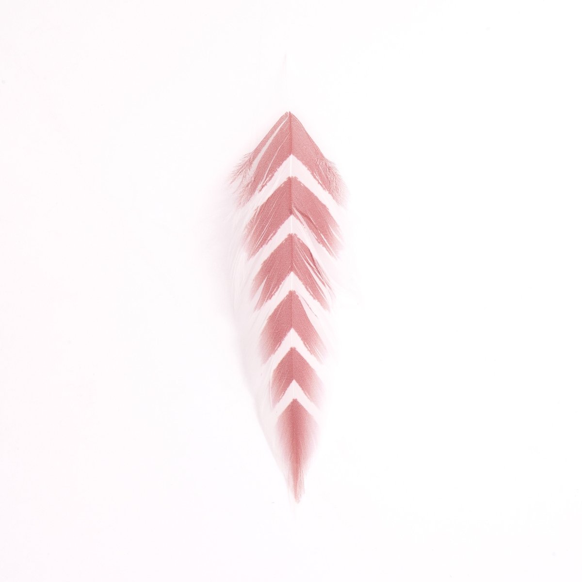 MFC - MFC Galloup's Fish Feathers - Arrowhead - Feather Craft Fly Fishing