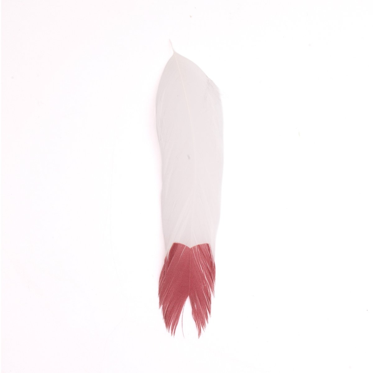 MFC - MFC Galloup's Fish Feathers - Fin Tip - Feather Craft Fly Fishing