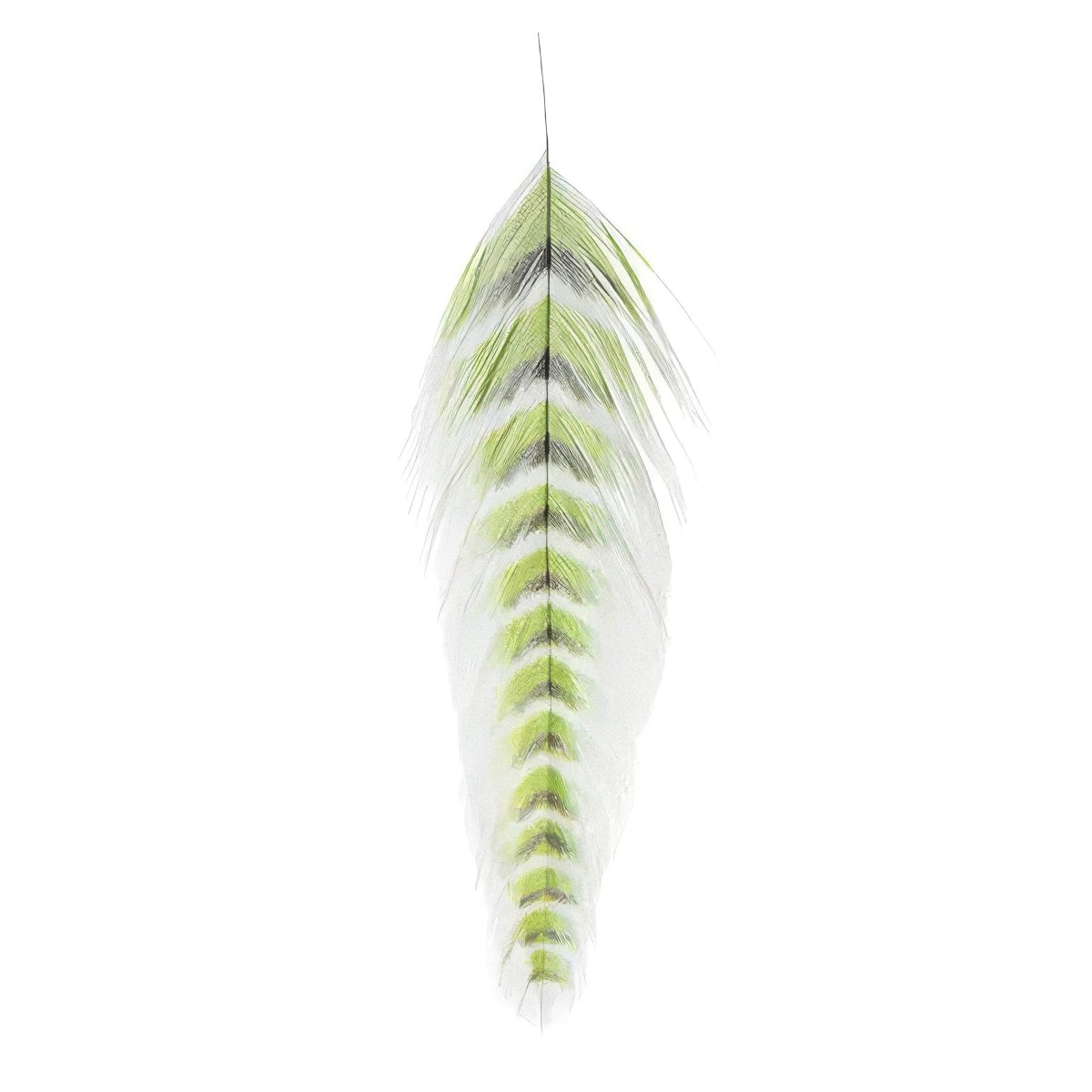 MFC - MFC Galloup's Fish Feathers - Grizzled - Feather Craft Fly Fishing