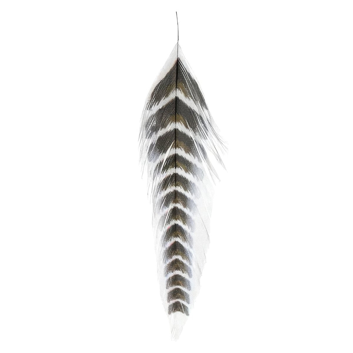 MFC - MFC Galloup's Fish Feathers - Grizzled - Feather Craft Fly Fishing