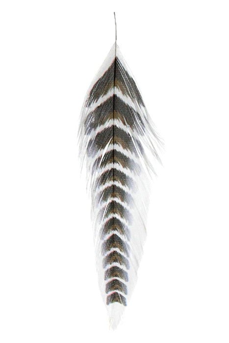 MFC - Mfc Galloups Fish Feathers - Grizzled - Feather Craft Fly Fishing