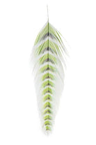MFC - Mfc Galloups Fish Feathers - Grizzled - Feather Craft Fly Fishing