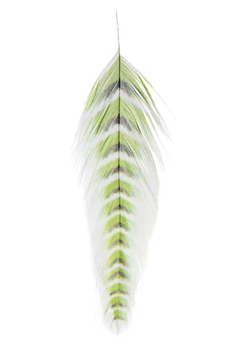 MFC - Mfc Galloups Fish Feathers - Grizzled - Feather Craft Fly Fishing