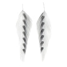 MFC - MFC Galloup's Fish Feathers - Shark Fin - Feather Craft Fly Fishing