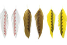 MFC - Mfc Galloups Fish Feathers - Shark Fin - Feather Craft Fly Fishing