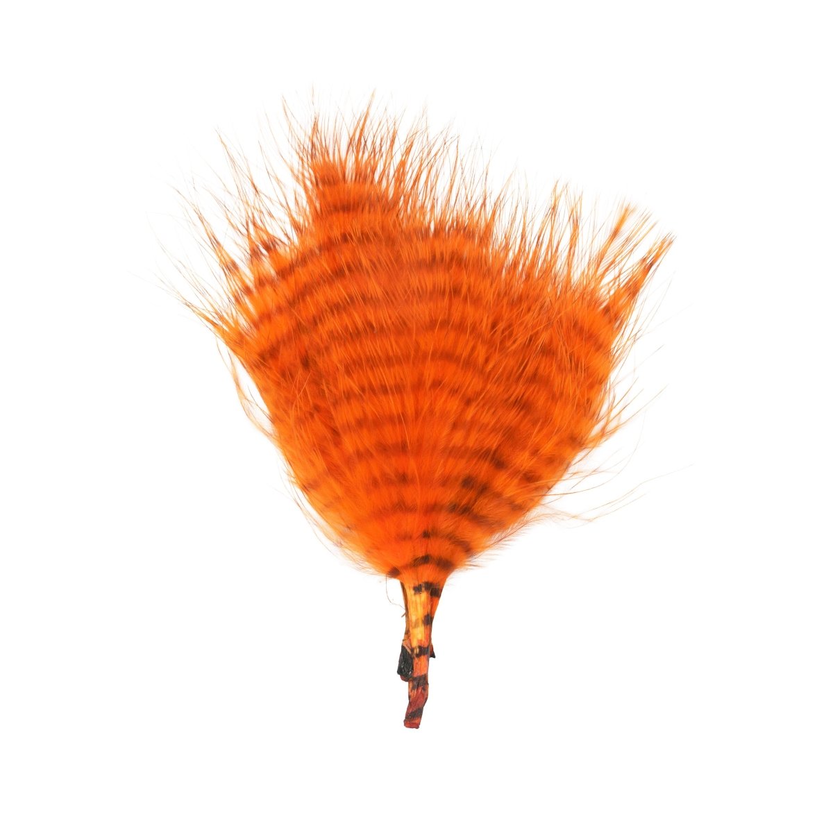 MFC - MFC Mini Barred Marabou - Feather Craft Fly Fishing
