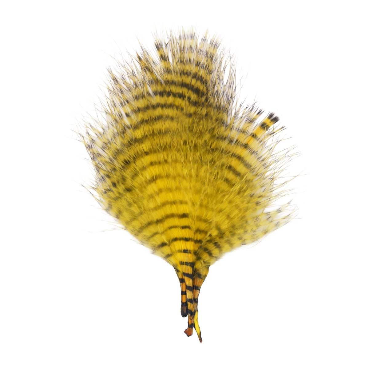 MFC - MFC Mini Barred Marabou - Feather Craft Fly Fishing