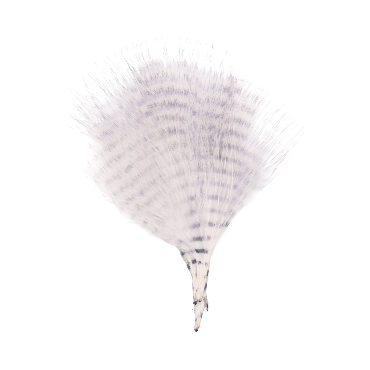 MFC - MFC Mini Barred Marabou - Feather Craft Fly Fishing